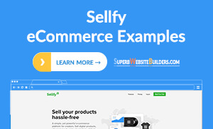 Sellfy примеры электронной коммерции