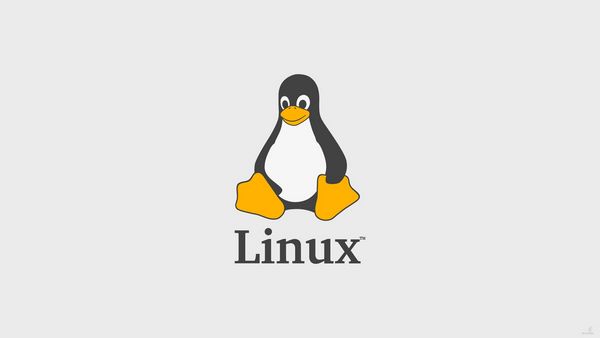 Linux stýrikerfi